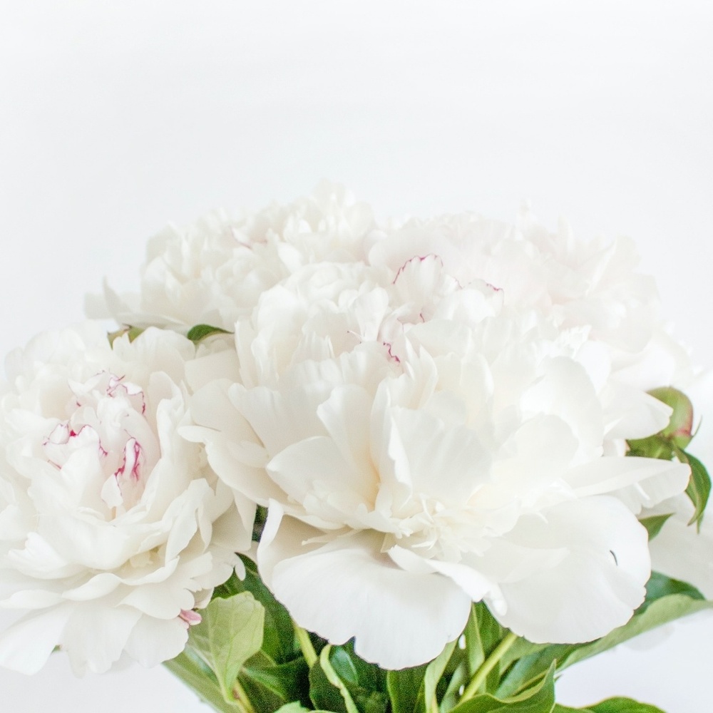 Meet your Posher, Mae